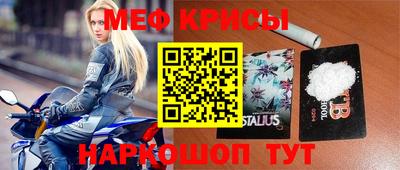стаф Заводоуковск