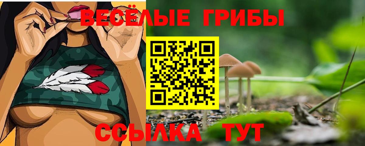 Псилоцибиновые грибы Psilocybine cubensis Кыштым